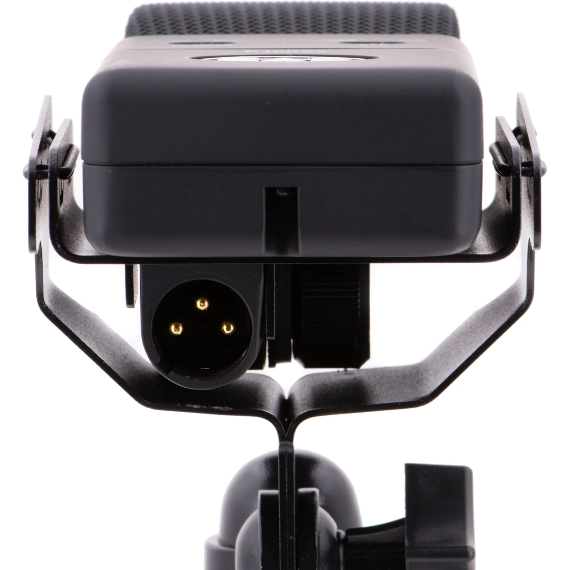 CAD E100Sx Large-Diaphragm Supercardioid Condenser Microphone - Image 6