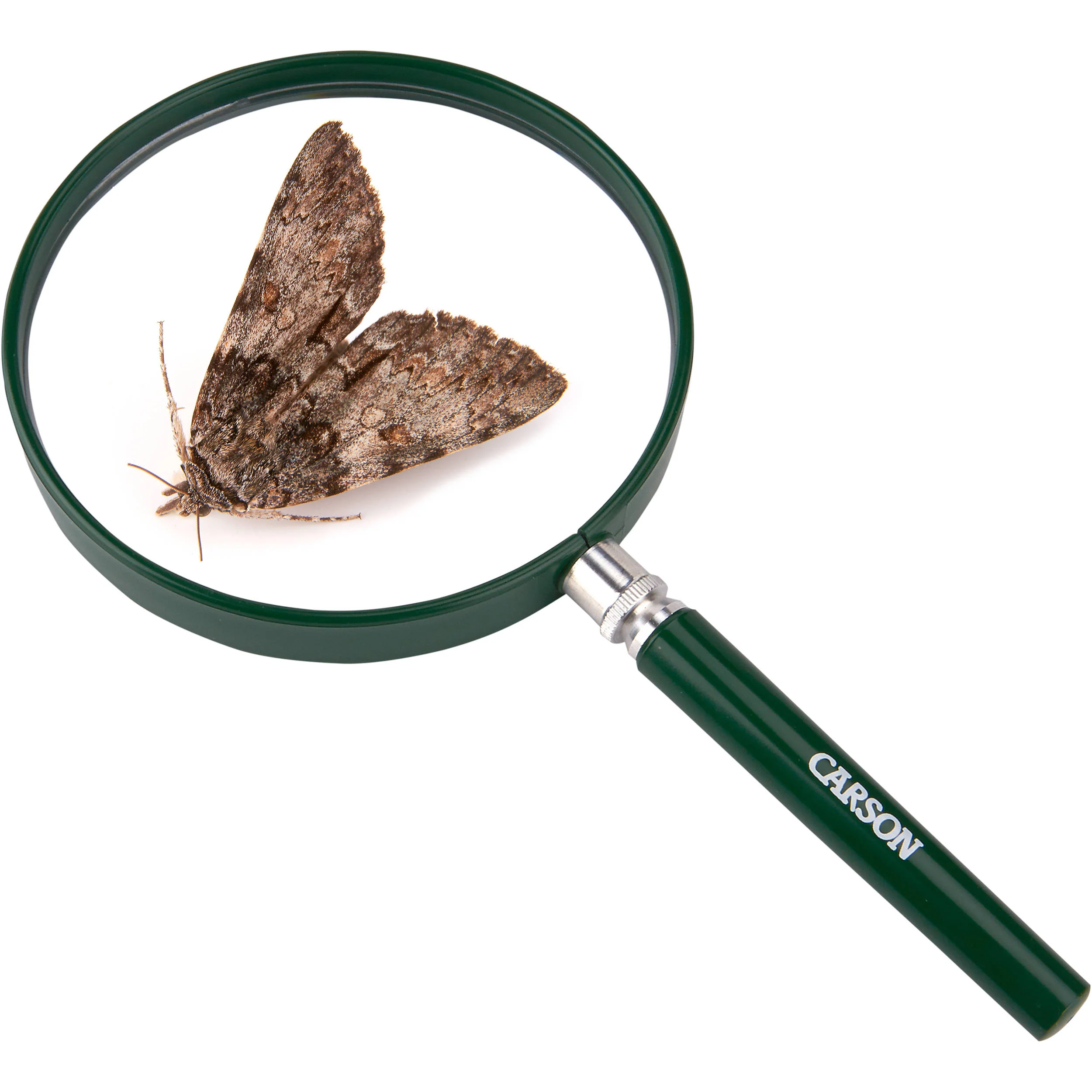 Carson HU-20 BigEye 2x Magnifier (10-Pack) - Image 2
