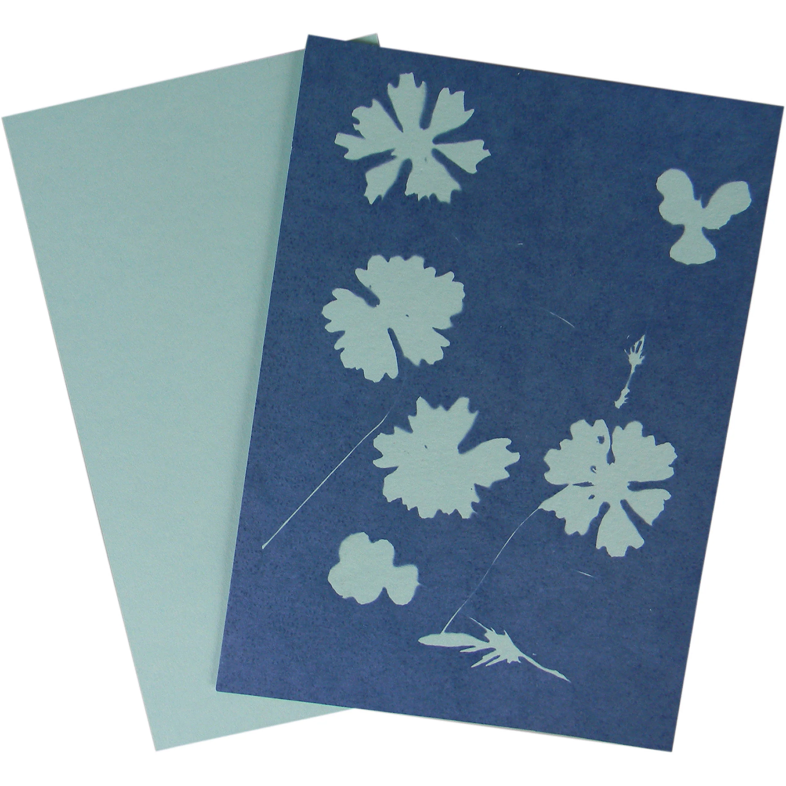 Cyanotype Store Cyanotype Paper (5 x 7", Baby Blue, 48 Sheets) - Image 3