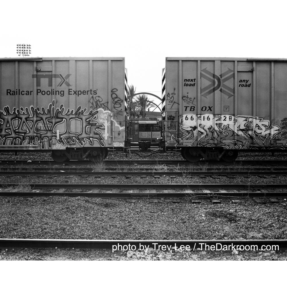 Film Photography Project Wolfman 120 Black and White Negative Film (120 Roll Film) - Image 3