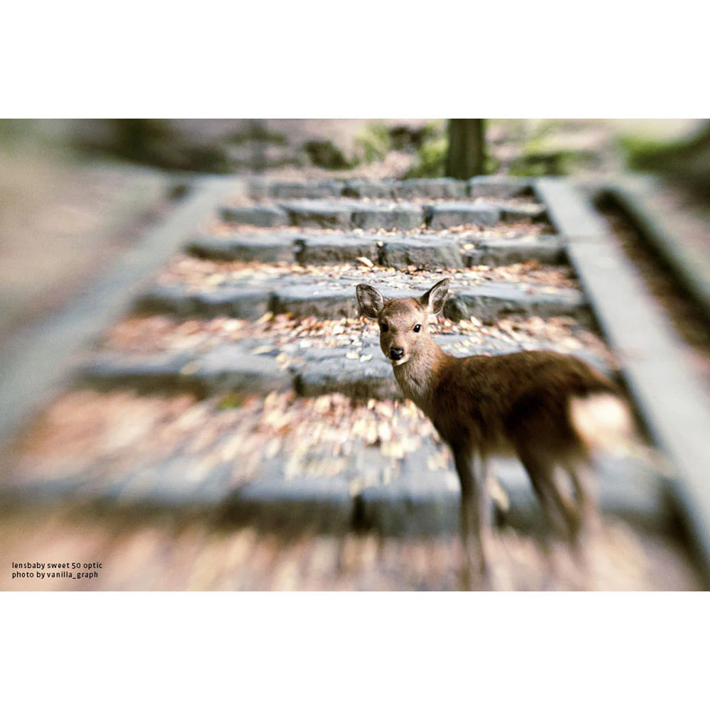 Lensbaby Composer Pro II with Sweet 50 Optic for Nikon F - Image 3