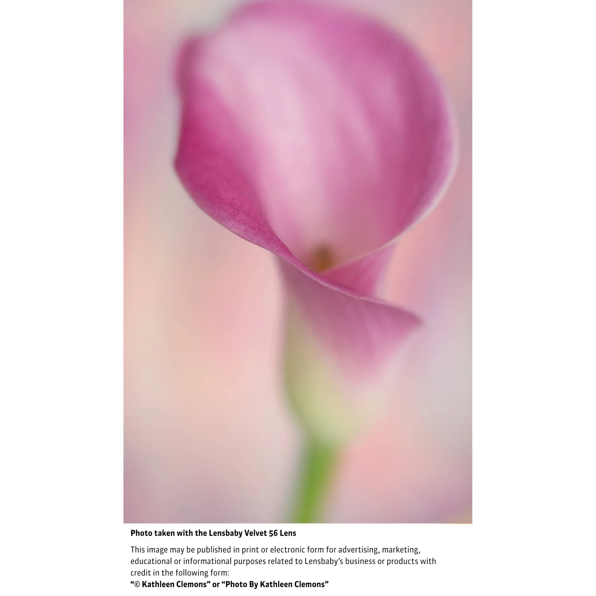 Lensbaby Velvet 56mm f/1.6 Lens for Sony E - Image 13