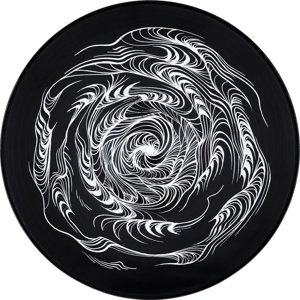 Serato 12" David Ellis Sidewinder Picture Control Vinyl for Serato DJ (Pair) - Image 2