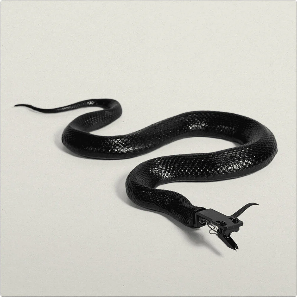 Serato 12" David Ellis Sidewinder Picture Control Vinyl for Serato DJ (Pair) - Image 4