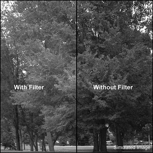 Tiffen 52mm Dark Green #61 Filter - Image 3