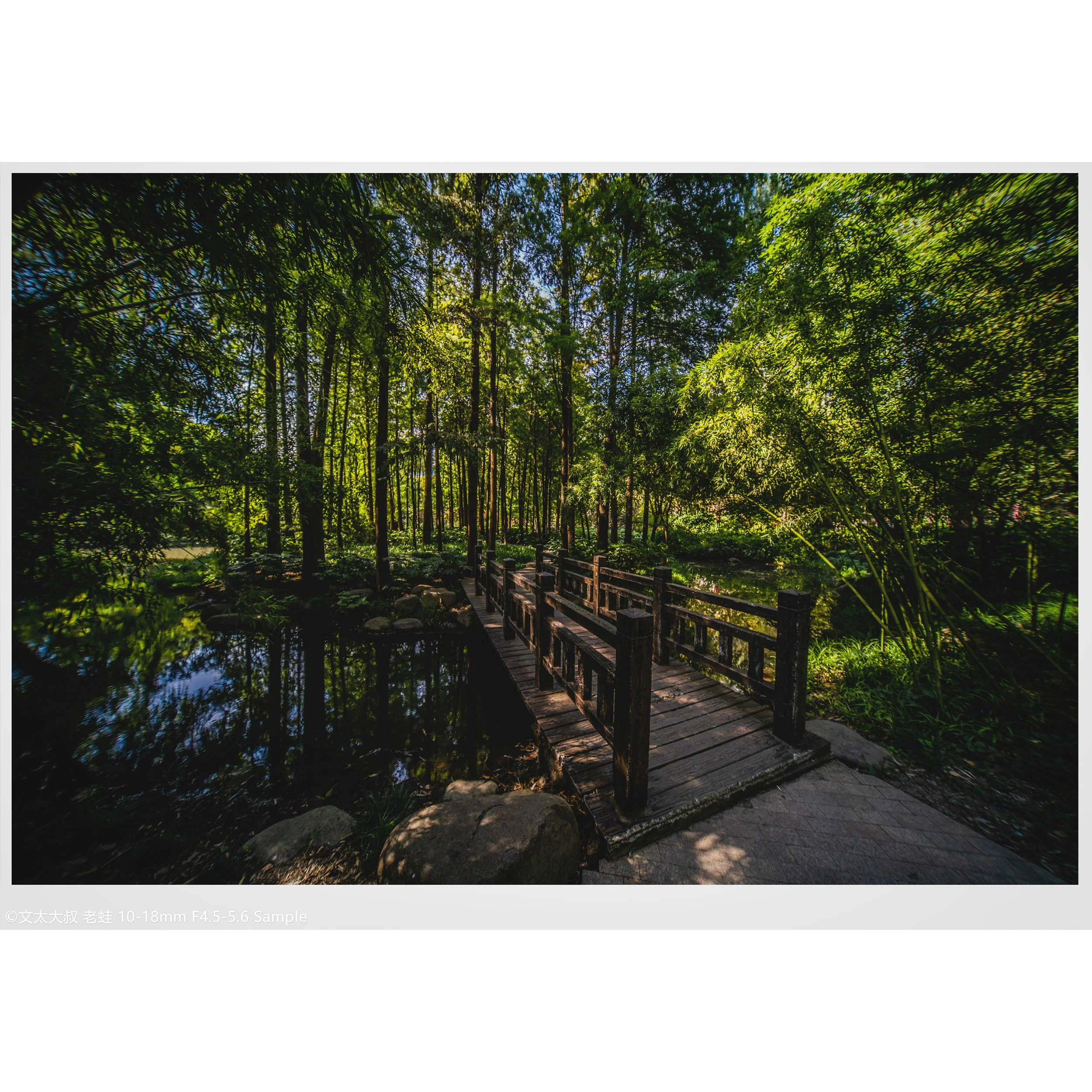 Venus Optics Laowa 10-18mm f/4.5-5.6 FE Zoom Lens for Sony E - Image 21