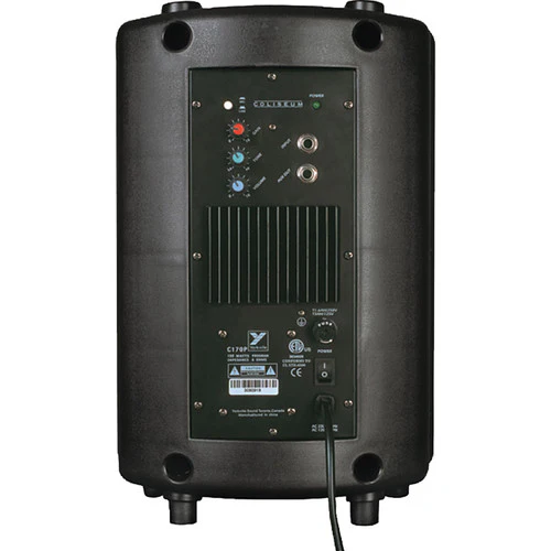 Yorkville Sound 100W Coliseum Mini Two-Way Installation Speaker with 8" Woofer & 1" Tweeter (Powered) - Image 3